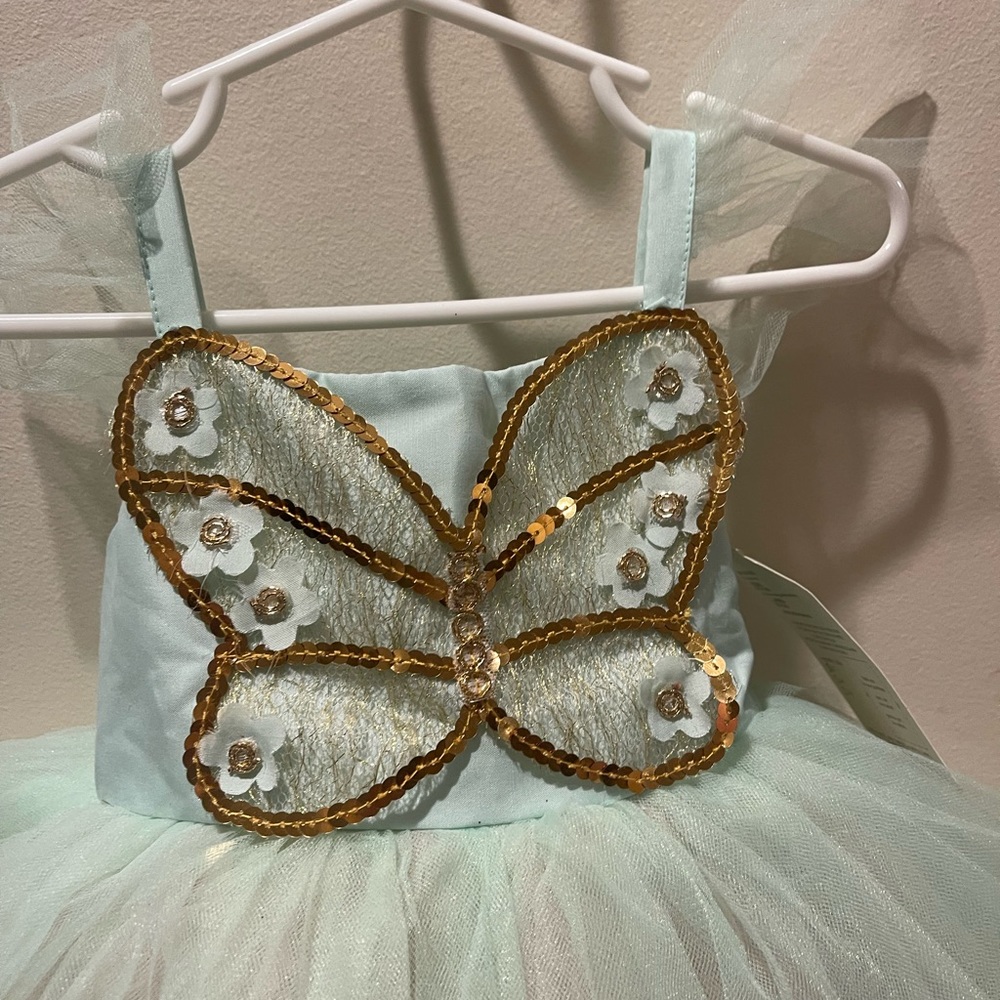 Butterfly fairy costume